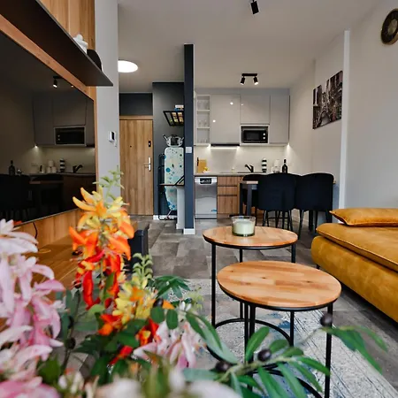 Apartment Nad Jeziorem Laguna Beskidow Zarzecze (Silesia)
