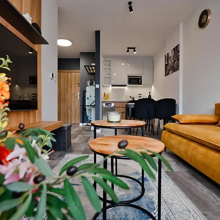 Nad Jeziorem Laguna Beskidow Apartment Zarzecze (Silesia)